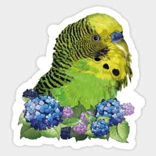 Australian parakeet Sticker